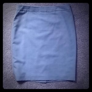 Blue/Light Slate Skirt (10)